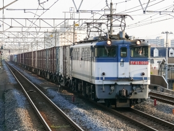 JR貨物 国鉄EF65形電気機関車 EF65 1090 鉄道フォト・写真 by shingenさん 南流山駅 (JR)：2010年11月07日15時ごろ