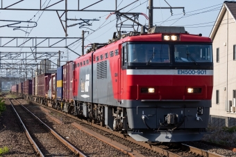 JR貨物 EH500形 EH500-901 鉄道フォト・写真 by shingenさん 名取駅 (JR)：2019年05月19日16時ごろ