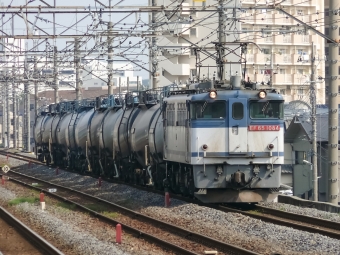 JR貨物 国鉄EF65形電気機関車 EF65 1084 鉄道フォト・写真 by shingenさん 南流山駅 (JR)：2011年05月04日15時ごろ
