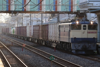 JR貨物 国鉄EF65形電気機関車 EF65-2065 鉄道フォト・写真 by BOEING737MAX-8さん 東浦和駅：2019年03月12日16時ごろ