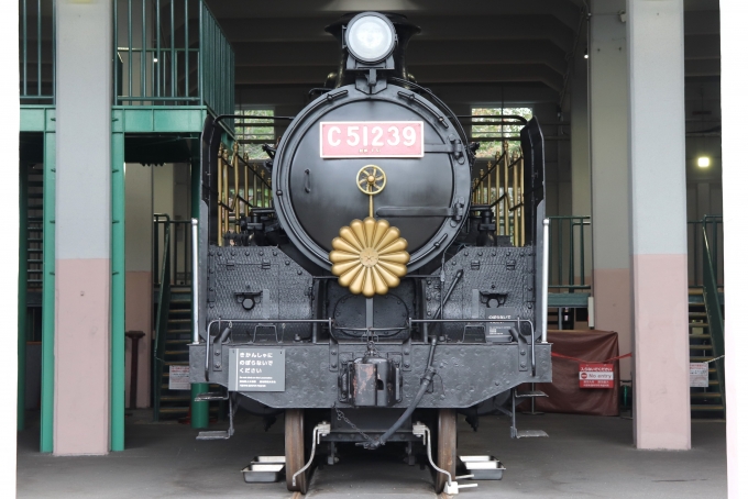 JR西日本 国鉄C51形蒸気機関車 C51 239 鉄道フォト・写真 by BOEING737MAX-8さん 梅小路京都西駅：2022年10月31日10時ごろ