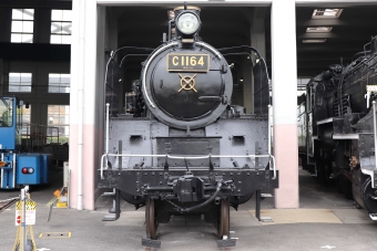 C11 64 鉄道フォト・写真