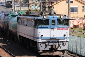 JR貨物 国鉄EF65形電気機関車 EF65 2085 鉄道フォト・写真 by BOEING737MAX-8さん 東浦和駅：2021年03月11日13時ごろ