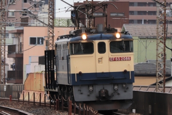 JR貨物 国鉄EF65形電気機関車 EF65-2086 鉄道フォト・写真 by BOEING737MAX-8さん 南浦和駅：2021年03月25日14時ごろ
