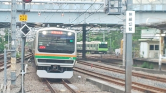 JR東日本 鉄道フォト・写真 by gomagoma18さん 大崎駅 (JR)：2019年06月01日00時ごろ