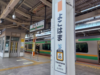 JR東日本 鉄道フォト・写真 by gomagoma18さん 横浜駅 (JR)：2023年12月29日07時ごろ