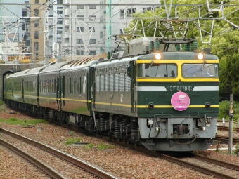 JR西日本 トワイライトエクスプレス(特急) 鉄道フォト・写真 by よったんさん 新大阪駅 (JR)：2002年05月04日12時ごろ
