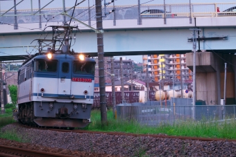 JR貨物 国鉄EF65形電気機関車 EF65-2075 鉄道フォト・写真 by pelugaさん 佐倉駅：2020年05月12日18時ごろ