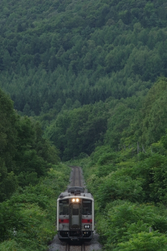 JR北海道 キハ54形 なよろ4号 キハ54 504 鉄道フォト・写真 by マイタウン列車とうまさん 蘭留駅：2020年08月10日00時ごろ