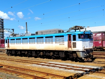 JR貨物 EF81形電気機関車 EF81 503 鉄道フォト・写真 by キハ183kuroさん 延岡駅 (JR)：2021年08月05日14時ごろ
