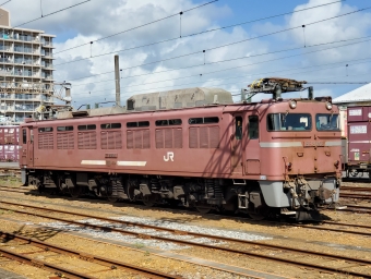 JR貨物 国鉄EF81形電気機関車 EF81 403 鉄道フォト・写真 by キハ183kuroさん 延岡駅 (JR)：2021年10月10日13時ごろ