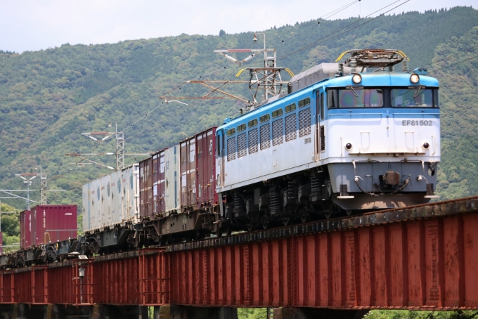 3022 EF81 500 JR貨物色 x2個 3022 EF81 500 JR貨物色 x2個 Amazon.co.jp: KATO 3022 EF81 500 JR