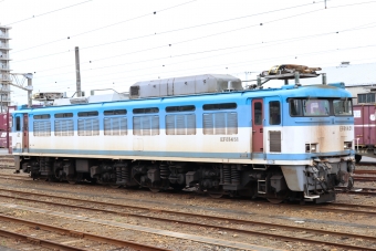 JR貨物EF81形電気機関車 EF81-451 鉄道フォト・写真 by キハ183kuroさん 延岡駅 (JR)：2020年07月12日14時ごろ