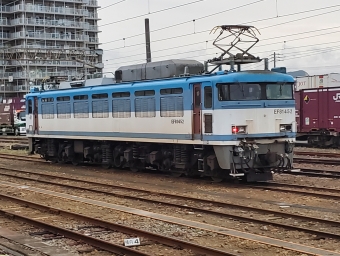 JR貨物EF81形電気機関車 EF81-452 鉄道フォト・写真 by キハ183kuroさん 延岡駅 (JR)：2020年09月10日18時ごろ