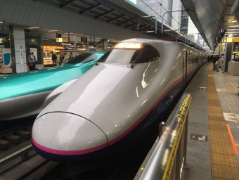 JR東日本 E224形(T2c) とき(新幹線) E224-1120 鉄道フォト・写真 by 485k60さん 東京駅 (JR)：2019年05月31日17時ごろ
