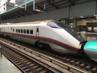 JR東日本 E311形(M1sc) やまびこ(新幹線) E311-21 鉄道フォト・写真 by 485k60さん 東京駅 (JR)：2019年05月31日17時ごろ