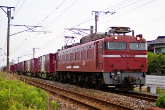 JR貨物 国鉄EF81形電気機関車 EF81-403 鉄道フォト・写真 by もこっここっここさん 小波瀬西工大前駅：2019年06月09日07時ごろ