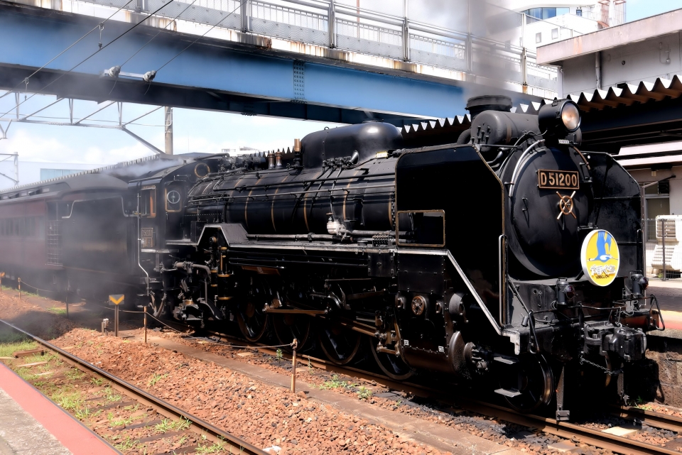 ＳＬナンバープレートD51 SL蒸気機関車 プレート 送料込み - 鉄道