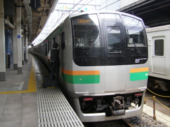 JR東日本E217系電車 クハE217-1 鉄道フォト・写真 by ちっとろむさん 東京駅 (JR)：2008年07月06日12時ごろ