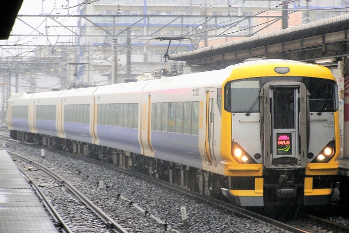 鉄道フォト・写真：JR東日本E257系電車 わかしお クハE257-504 蘇我駅 鉄道フォト・写真 by ちっとろむさん - 撮影日 2009/05/05 16:32