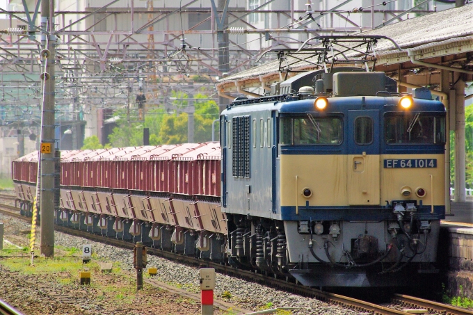JR貨物 国鉄EF64形電気機関車 EF64-1014 熱田駅 鉄道フォト・写真 by 