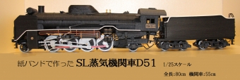 国鉄 D51形 D51 1011 鉄道フォト・写真 by どったさん ：2019年06月04日23時ごろ