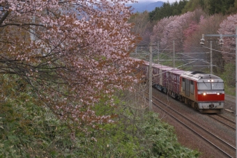 JR貨物 DF200形 DF200-119 鉄道フォト・写真 by 中村　昌寛さん 大麻駅：2011年05月07日00時ごろ