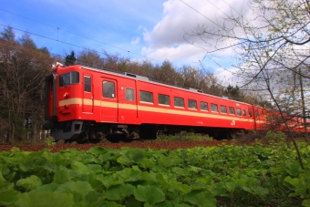 クハ711-104 鉄道フォト・写真