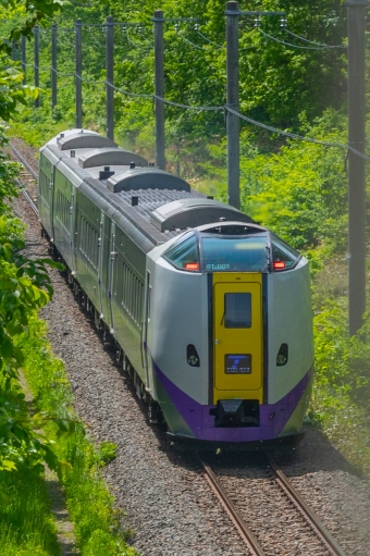 JR北海道 キロ261形 とかち(特急) キロ261-1102 鉄道フォト・写真 by 中村　昌寛さん 川端駅：2020年06月04日13時ごろ