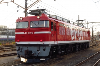 JR東日本 国鉄EF81形電気機関車 鉄道フォト・写真 by 鉄ラブさん ：2019年11月18日16時ごろ