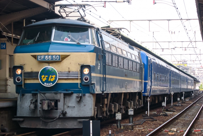 鉄道フォト・写真：JR西日本 国鉄EF66形電気機関車 なは EF66-50 大阪駅 鉄道フォト・写真 by pinama9873さん - 撮影日 2005/10/01 09:17