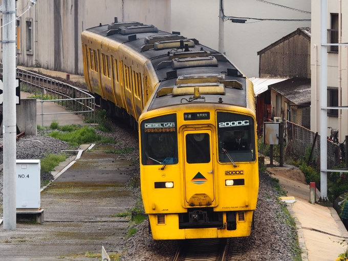 JR九州キハ200系気動車 なのはな キハ200-1503 鹿児島中央駅 鉄道