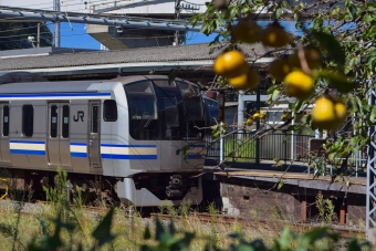 クハE216-2030 鉄道フォト・写真