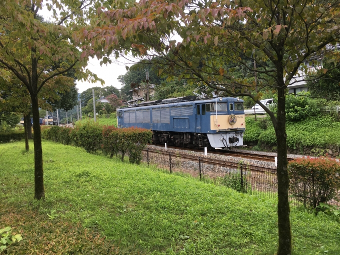 JR東日本 国鉄EF63形電気機関車 EF63 12 鉄道フォト・写真 by Jushinさん 横川駅 (群馬県)：2018年08月19日14時ごろ