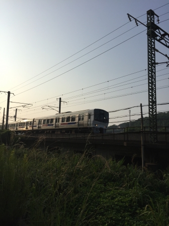 クハ810-17 鉄道フォト・写真
