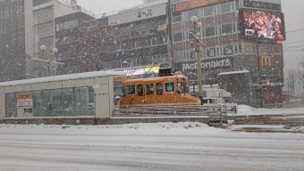 札幌市交通局雪20形除雪車 21 鉄道フォト・写真 by 北の愛虎さん すすきの停留場：2021年01月19日09時ごろ