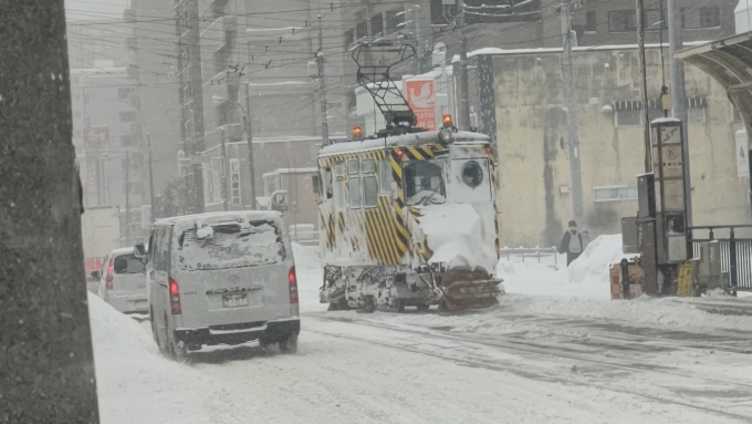 札幌市交通局雪1形除雪車 2 鉄道フォト・写真 by 北の愛虎さん 西線１１条停留場：2021年01月19日10時ごろ