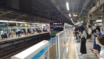 JR東日本E233系電車 クハE233形(Tc) クハE233-6019 鉄道フォト・写真 by 北の愛虎さん 横浜駅 (JR)：2022年09月09日22時ごろ