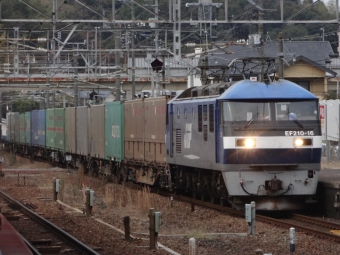 JR貨物 EF210形 EF210-16 鉄道フォト・写真 by eighlaceさん 宮島口駅：2019年11月13日16時ごろ