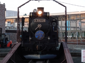 JR東日本 C58形 C58 239 鉄道フォト・写真 by F4-16さん 盛岡駅 (JR)：2022年04月17日17時ごろ