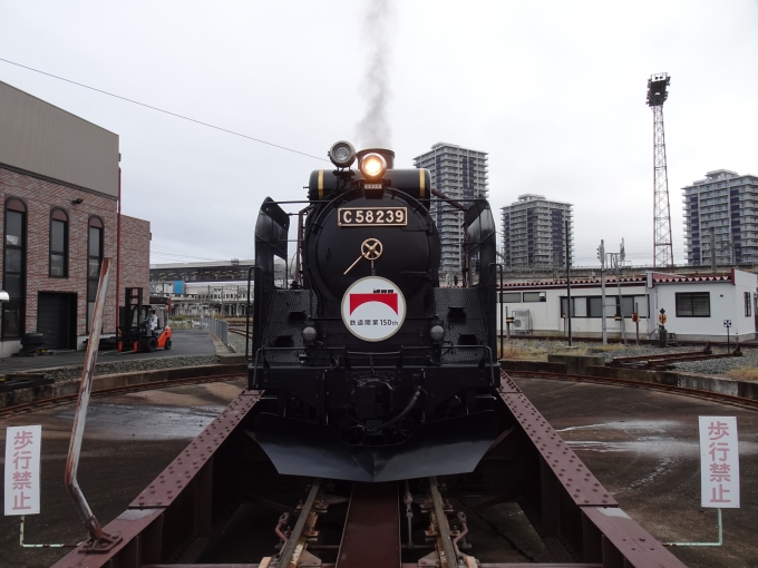 鉄道フォト・写真：JR東日本 国鉄C58形蒸気機関車 C58 239 盛岡駅 (JR) 鉄道フォト・写真 by F4-16さん - 撮影日 2022/10/08 07:02