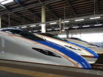 JR東日本 E714形(Tsc) とき(新幹線) E714-15 鉄道フォト・写真 by F4-16さん 新潟駅：2022年09月30日09時ごろ
