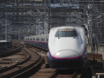 JR東日本 E224形(T2c) やまびこ(新幹線) E224-1117 鉄道フォト・写真 by F4-16さん 仙台駅 (JR)：2023年07月25日09時ごろ