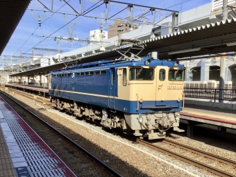 JR西日本 国鉄EF65形電気機関車 EF65-1131 鉄道フォト・写真 by てばどめさん 岡山駅：2021年03月11日15時ごろ