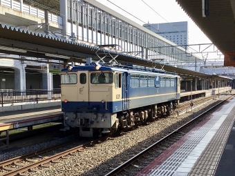 JR西日本 国鉄EF65形電気機関車 EF65-1131 鉄道フォト・写真 by てばどめさん 岡山駅：2021年03月11日15時ごろ
