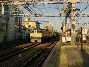 JR貨物 国鉄EF65形電気機関車 EF65-2089 鉄道フォト・写真 by てばどめさん 須磨駅：2021年04月05日17時ごろ