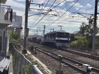 JR貨物 EF210形 EF210-301 鉄道フォト・写真 by てばどめさん 西明石駅：2021年11月14日10時ごろ