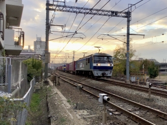 JR貨物 EF210形 EF210-132 鉄道フォト・写真 by てばどめさん 西明石駅：2021年11月25日07時ごろ