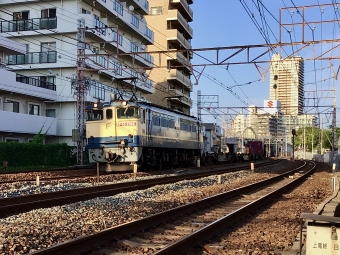 JR貨物 国鉄EF65形電気機関車 EF65-2066 鉄道フォト・写真 by てばどめさん 須磨寺駅：2021年06月21日17時ごろ