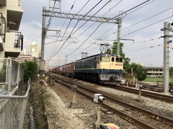 JR貨物 国鉄EF65形電気機関車 EF65-2083 鉄道フォト・写真 by てばどめさん 西明石駅：2021年07月13日17時ごろ